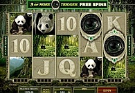 Play This Slot At Platinum Play Casino